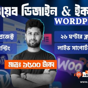 WordPress Web Design and E-commerce
